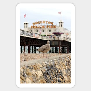 Seagull and Palace Pier Sticker